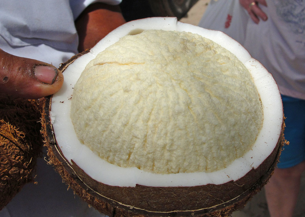 CoconutApple